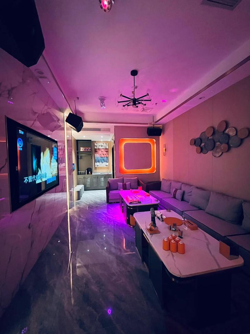 上海商务ktv引领商务ktv新模式-嘉定区ktv预订